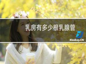 乳房有多少根乳腺管