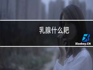 乳腺什么耙