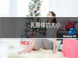 乳腺体的大小