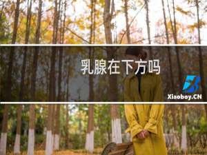 乳腺在下方吗