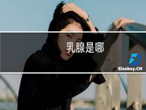 乳腺是哪