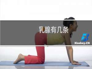 乳腺有几条