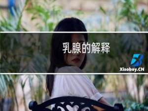 乳腺的解释