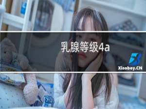 乳腺等级4a
