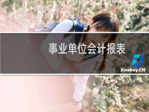 事业单位会计报表