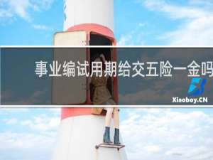 事业编试用期给交五险一金吗