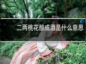 二两桃花酿成酒是什么意思