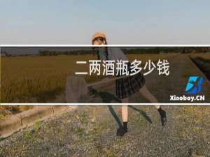 二两酒瓶多少钱