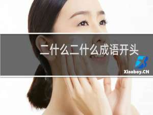 二什么二什么成语开头