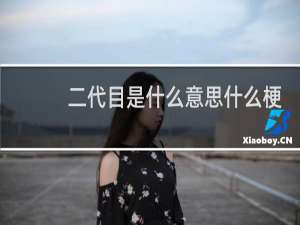二代目是什么意思什么梗