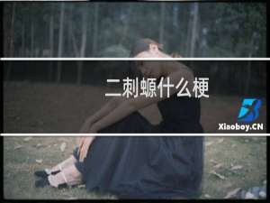 二刺螈什么梗