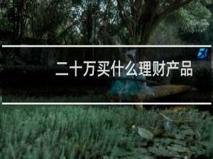 二十万买什么理财产品
