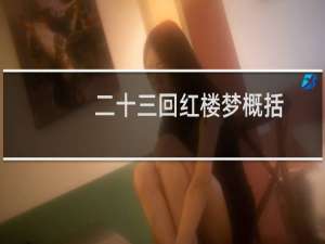 二十三回红楼梦概括