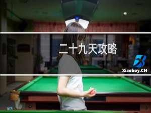二十九天攻略