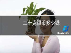二十克银币多少钱