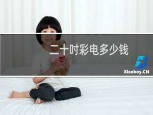 二十吋彩电多少钱
