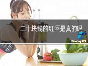 二十块钱的红酒是真的吗