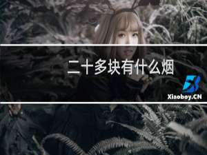 二十多块有什么烟