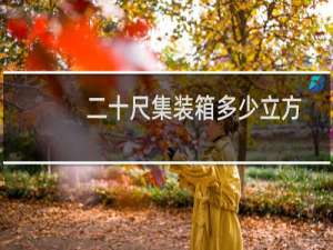 二十尺集装箱多少立方