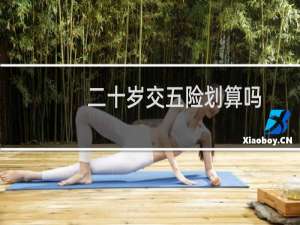 二十岁交五险划算吗