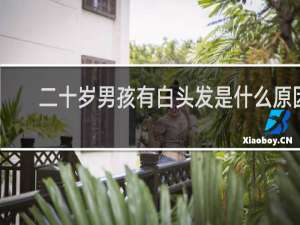 二十岁男孩有白头发是什么原因