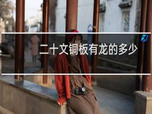 二十文铜板有龙的多少