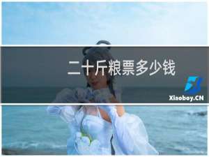 二十斤粮票多少钱