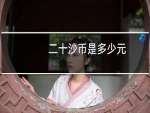 二十沙币是多少元