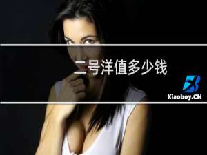 二号洋值多少钱