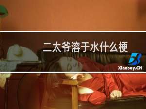 二太爷溶于水什么梗