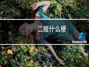 二嫂什么梗