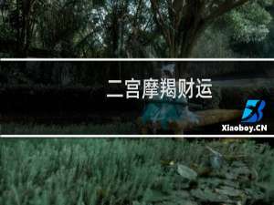 二宫摩羯财运