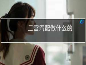 二宫汽配做什么的