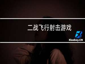 二战飞行射击游戏