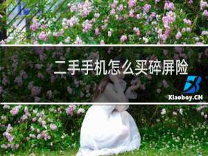 二手手机怎么买碎屏险