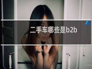 二手车哪些是b2b