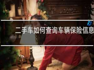 二手车如何查询车辆保险信息
