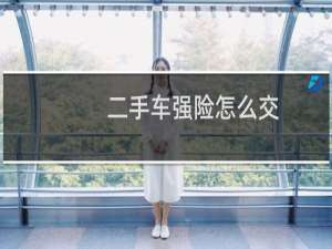 二手车强险怎么交