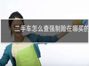 二手车怎么查强制险在哪买的