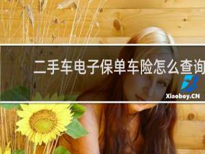 二手车电子保单车险怎么查询