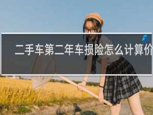 二手车第二年车损险怎么计算价格