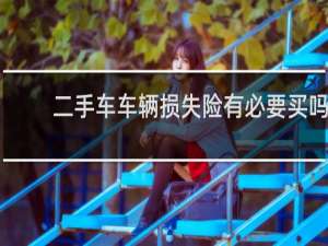 二手车车辆损失险有必要买吗