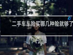 二手车车险买哪几种险就够了