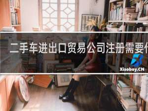 二手车进出口贸易公司注册需要什么