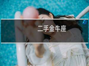 二手金牛座