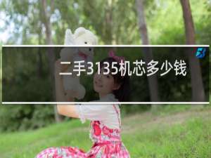 二手3135机芯多少钱