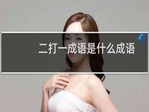 二打一成语是什么成语