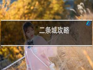 二条城攻略