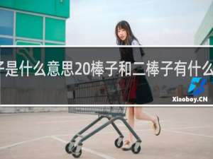 二棒子是什么意思 棒子和二棒子有什么区别什么梗