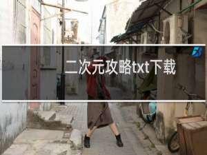 二次元攻略txt下载